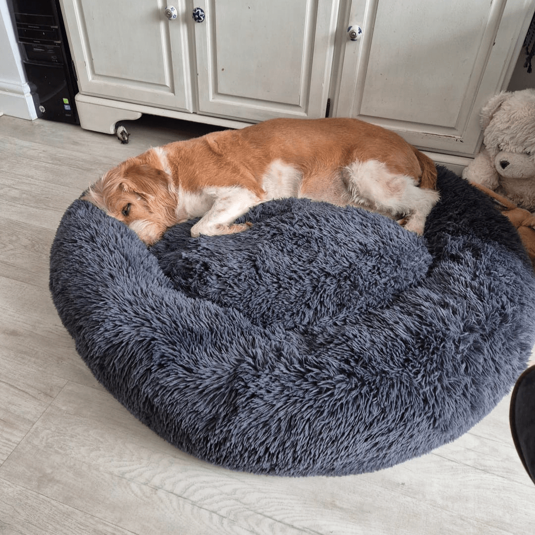 FreshPaws™ Calming Pet Bed