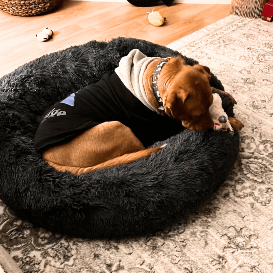 FreshPaws™ Calming Pet Bed