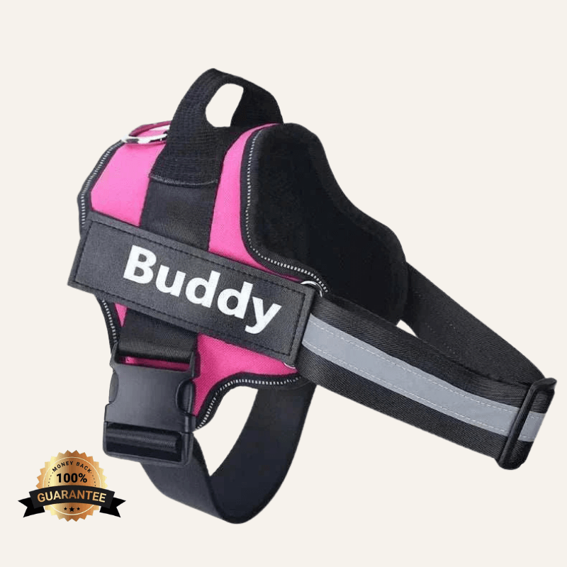 FreshPaws™ Custom No-Pull Harness