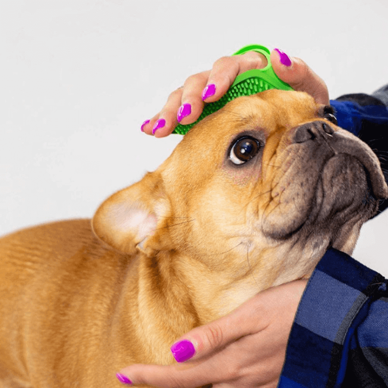 FreshPaws™ Bath Bundle