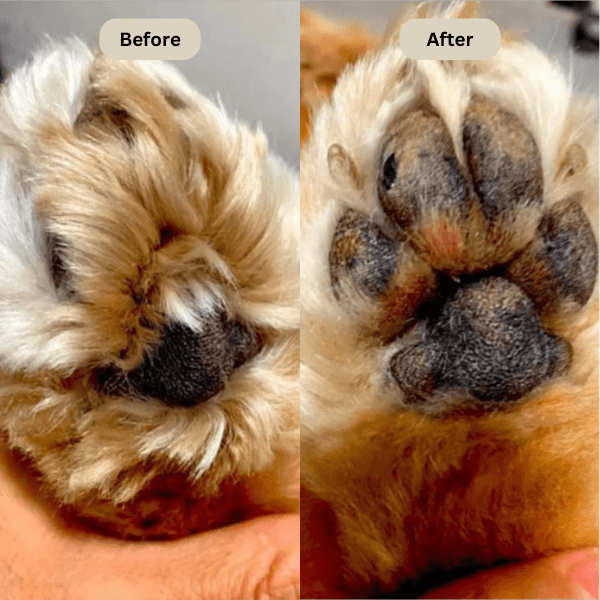 FreshPaws™ Electric Fur Trimmer