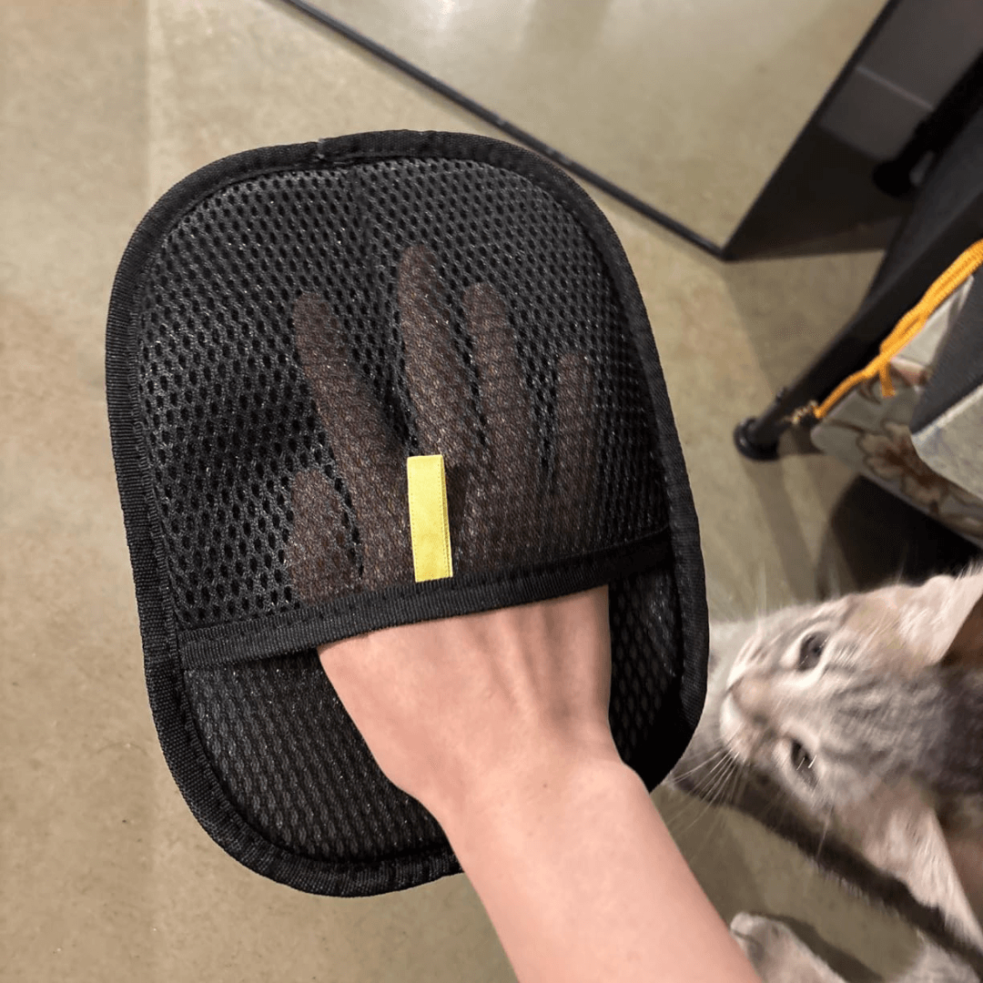 FreshPaws™ Grooming Glove