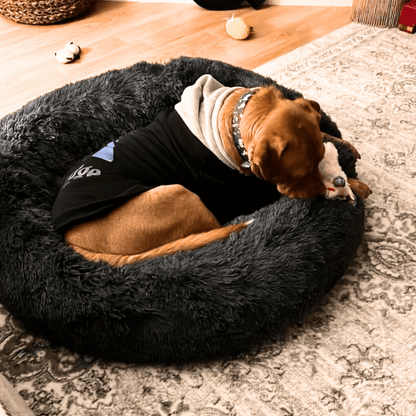 FreshPaws™ Calming Pet Bed