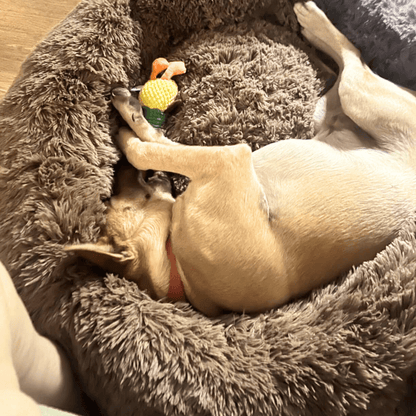 FreshPaws™ Calming Pet Bed