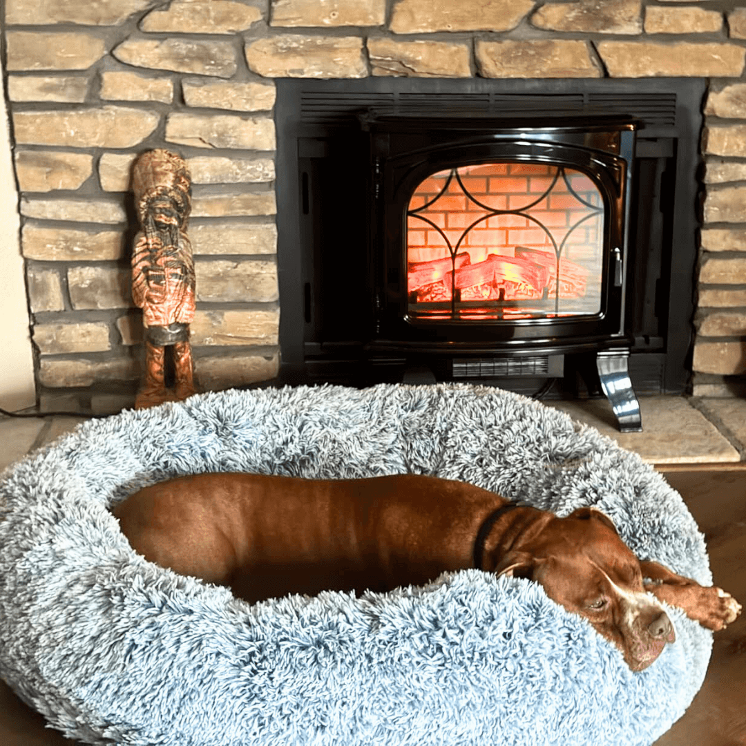 FreshPaws™ Calming Pet Bed