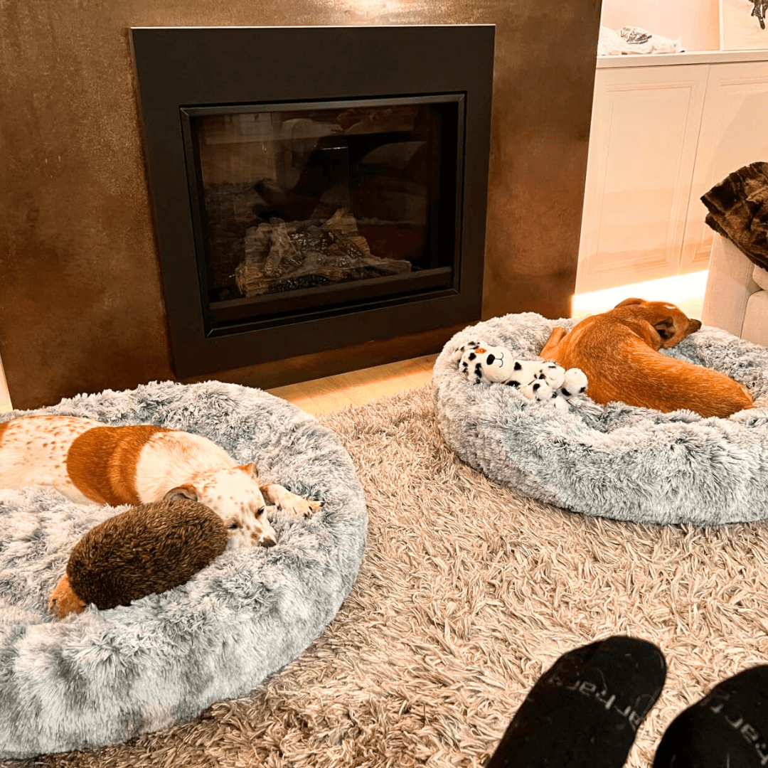 FreshPaws™ Calming Pet Bed
