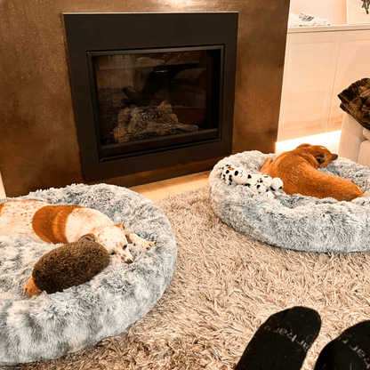 FreshPaws™ Calming Pet Bed