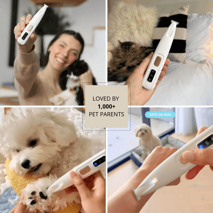 FreshPaws™ Essential Bundle