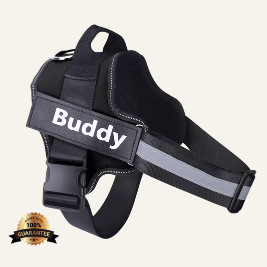 FreshPaws™ Custom No-Pull Harness