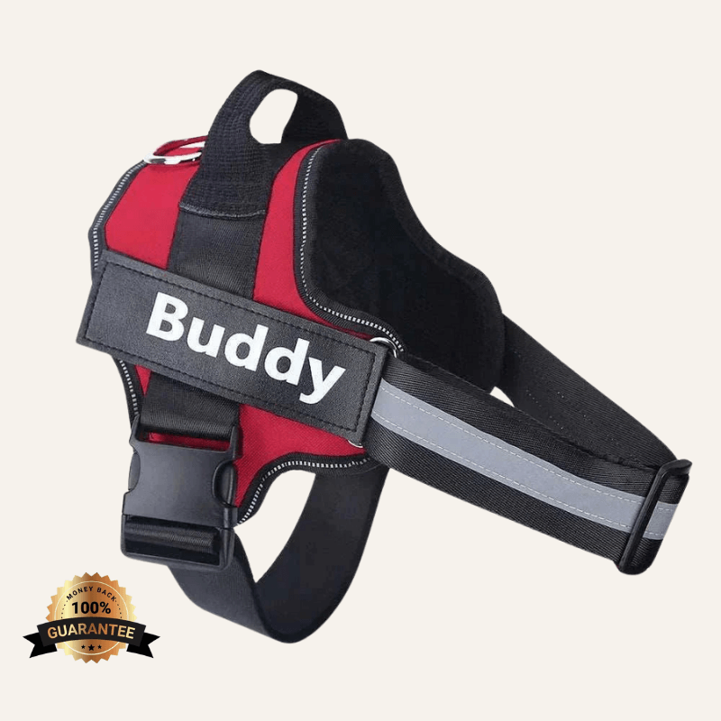 FreshPaws™ Custom No-Pull Harness