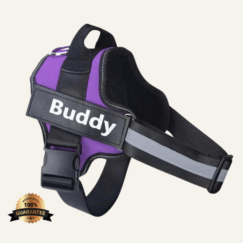 FreshPaws™ Custom No-Pull Harness