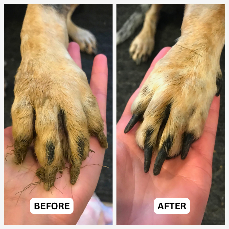 FreshPaws™ Paw Cleaner