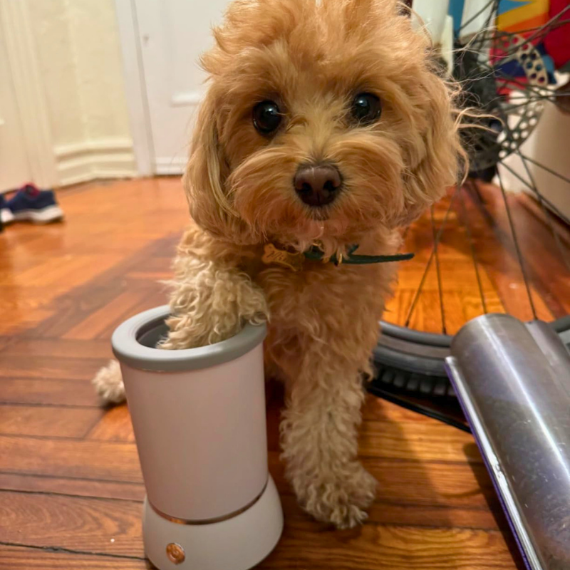 FreshPaws™ Paw Cleaner