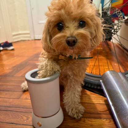 FreshPaws™ Paw Cleaner