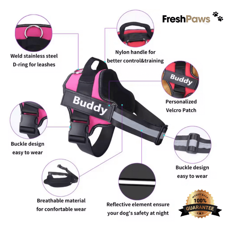 FreshPaws™ Custom No-Pull Harness