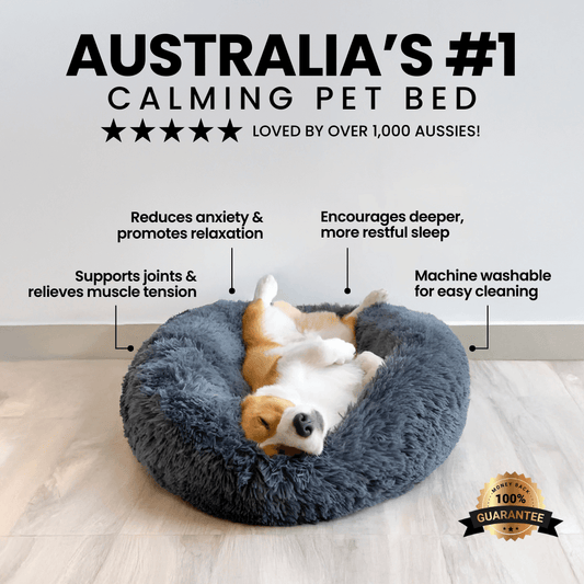 FreshPaws™ Calming Pet Bed