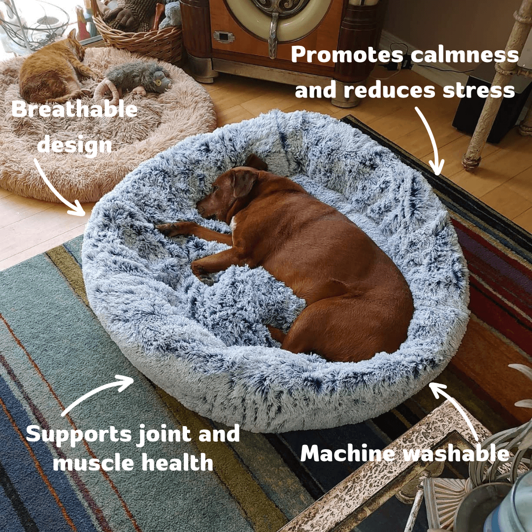 FreshPaws™ Calming Pet Bed