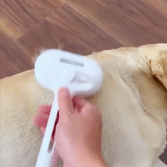 FreshPaws™ Ultimate Care Bundle