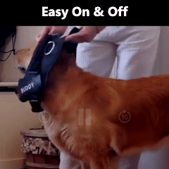 FreshPaws™ Custom No-Pull Harness