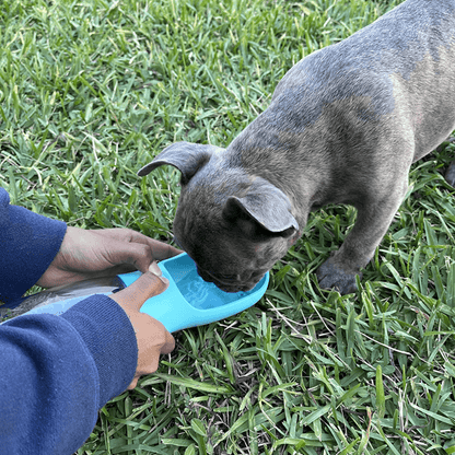 FreshPaws™ 2-in-1 AquaGo Bottle