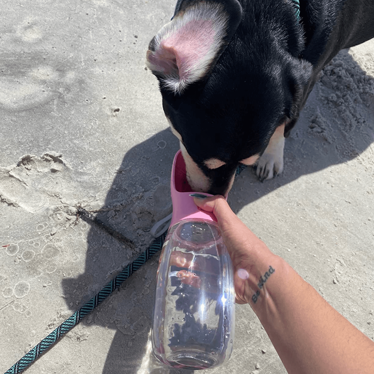 FreshPaws™ 2-in-1 AquaGo Bottle