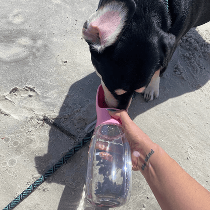 FreshPaws™ 2-in-1 AquaGo Bottle