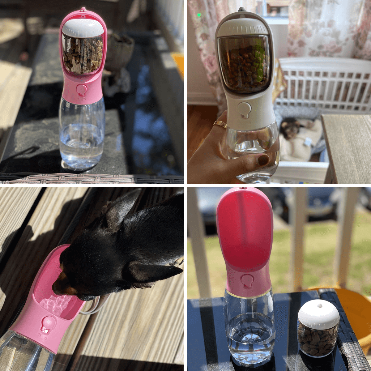 FreshPaws™ 2-in-1 AquaGo Bottle