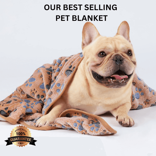 FreshPaws™ Pet Blanket