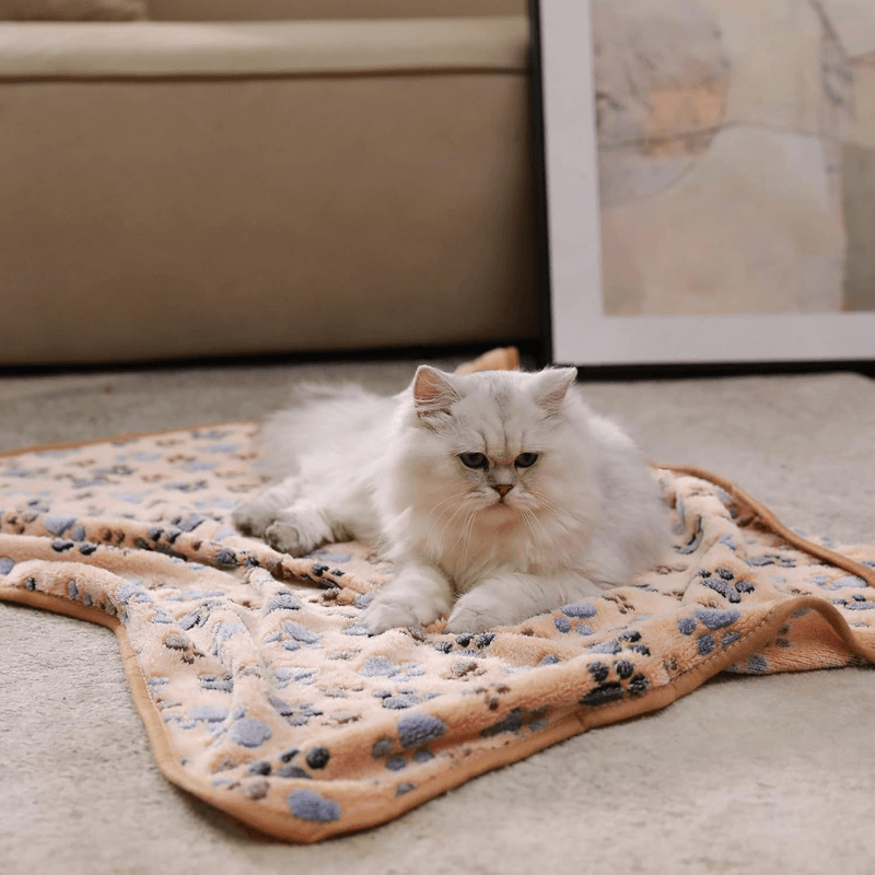 FreshPaws™ Pet Blanket