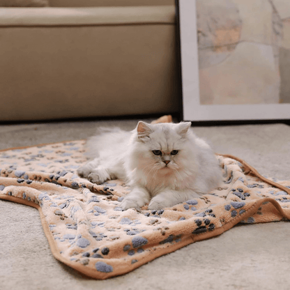 FreshPaws™ Pet Blanket