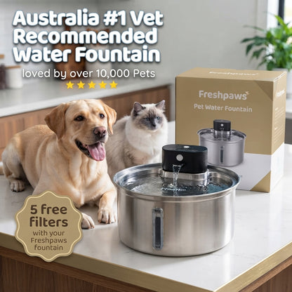 FreshPaws™ Water Fountain + 5 Free Filters