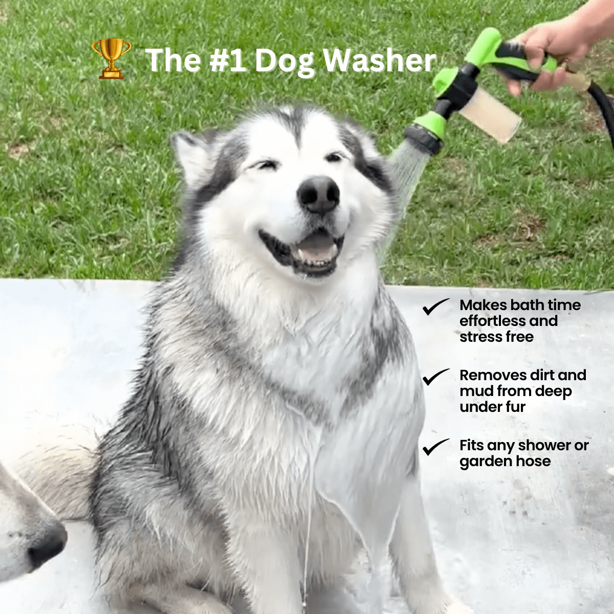 FreshPaws™ Pup Jet Spray