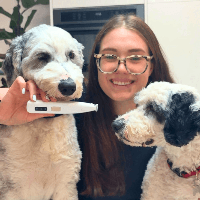 <h2>5,000+ Happy Pet Parents</h2>
