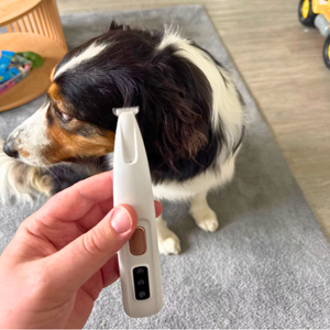 <h2>1000+ Happy Pet Parents</h2>