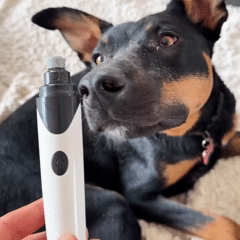 FreshPaws™ Silent Nail Grinder