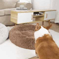 FreshPaws™ Calming Pet Bed