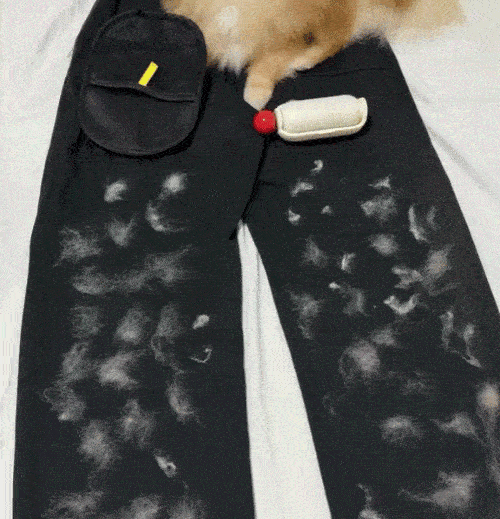 FreshPaws™ Grooming Glove