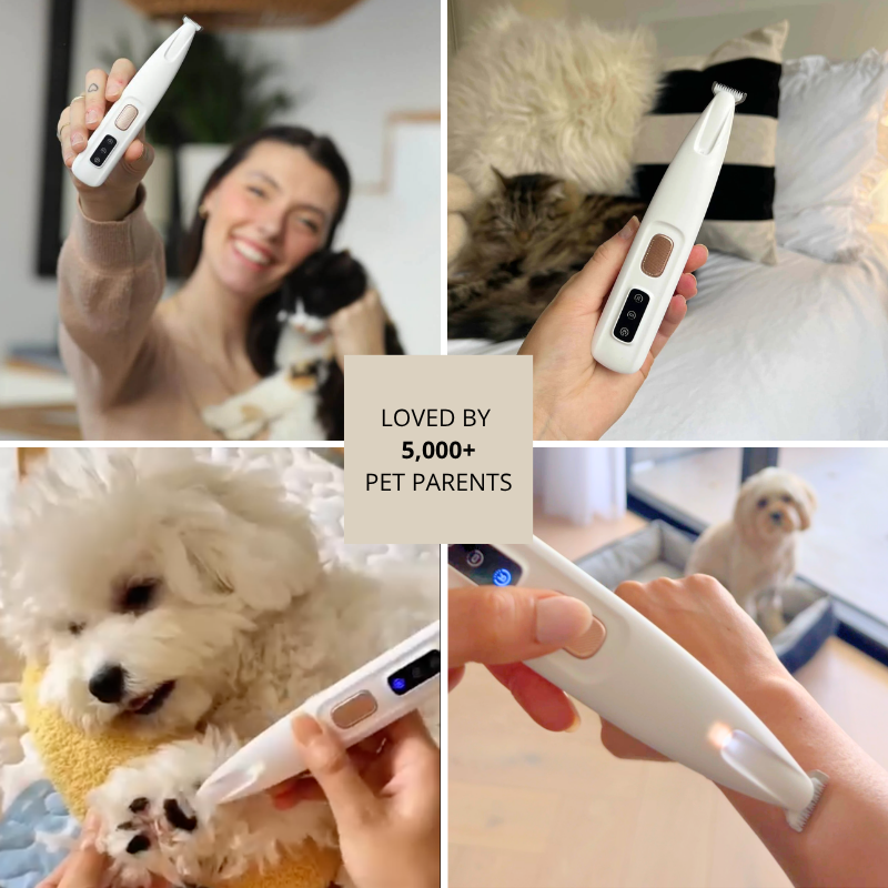 FreshPaws™ Electric Fur Trimmer